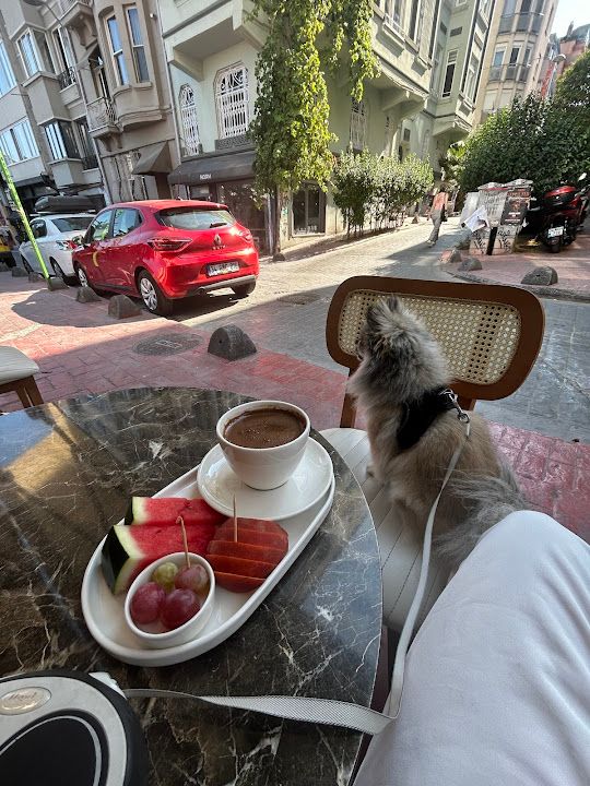 Yorum fotoğrafı 2