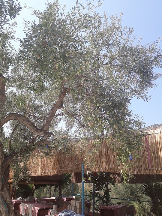 Fotoğraf 17