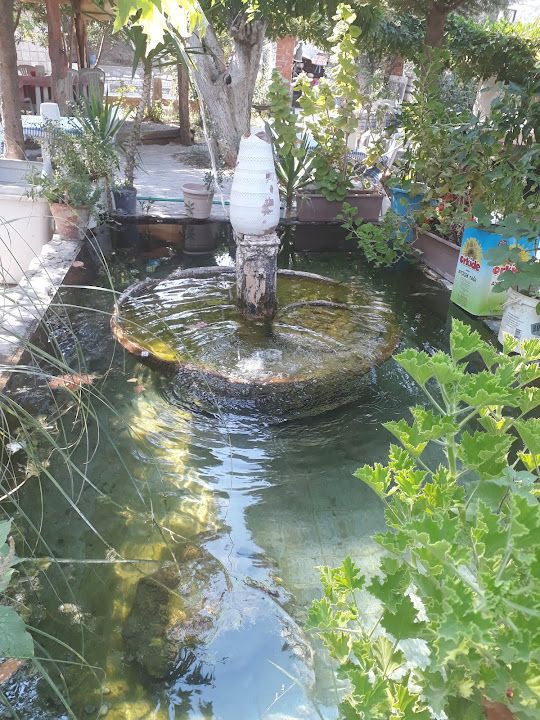 Fotoğraf 16