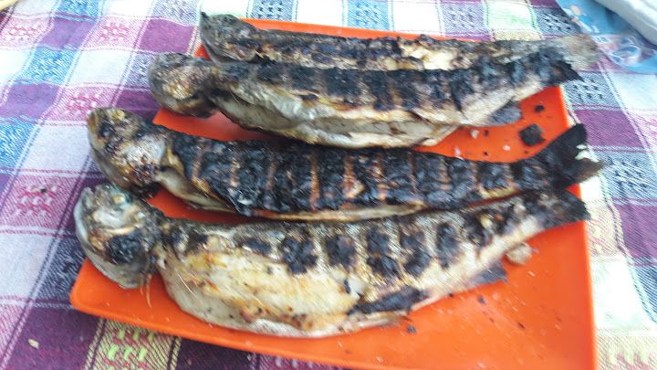 Fotoğraf 13