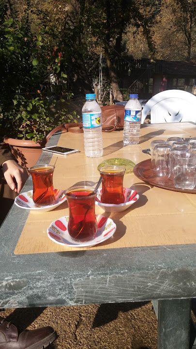 Fotoğraf 12