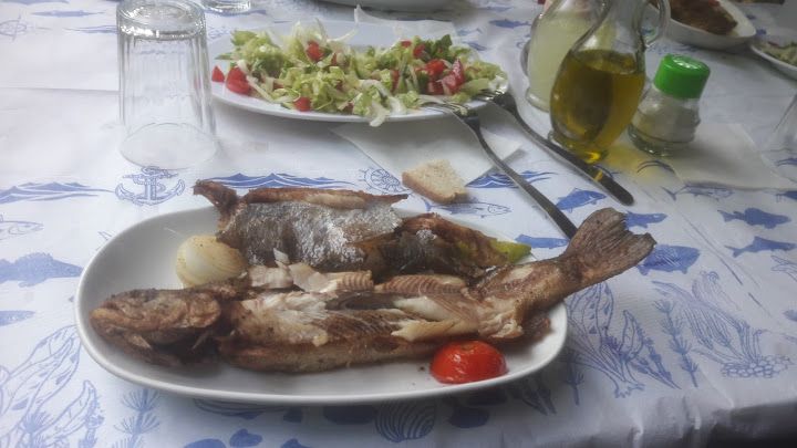 Fotoğraf 14