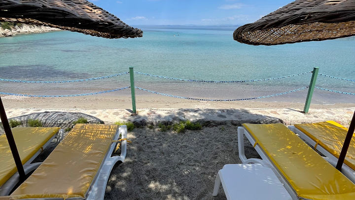 Fotoğraf 31