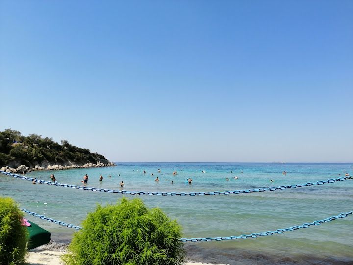 Yorum fotoğrafı 3