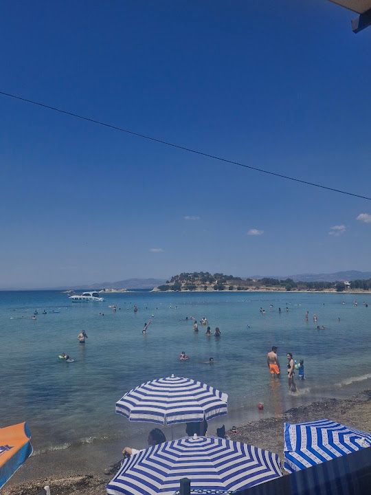 Yorum fotoğrafı 2