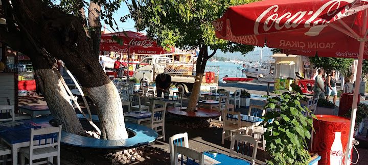 Fotoğraf 53