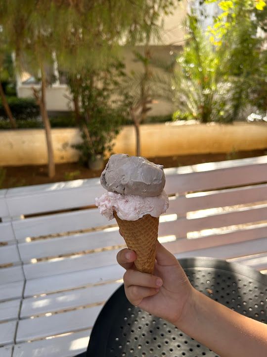 Fotoğraf 15