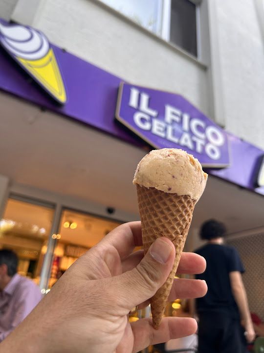 Fotoğraf 19