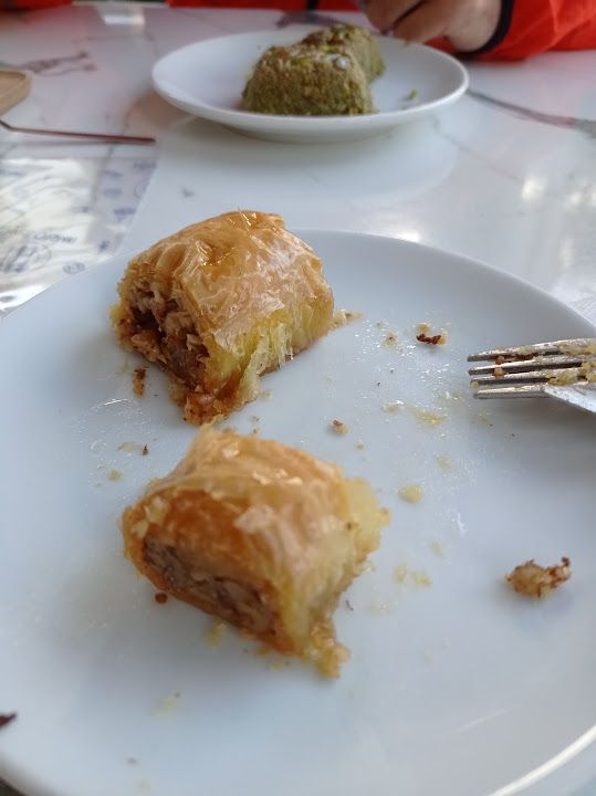 Fotoğraf 19