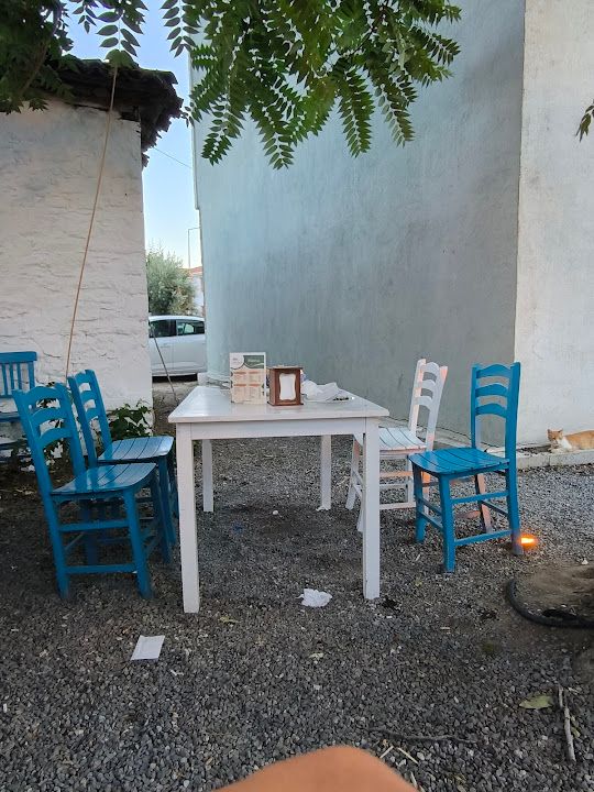 Yorum fotoğrafı 3