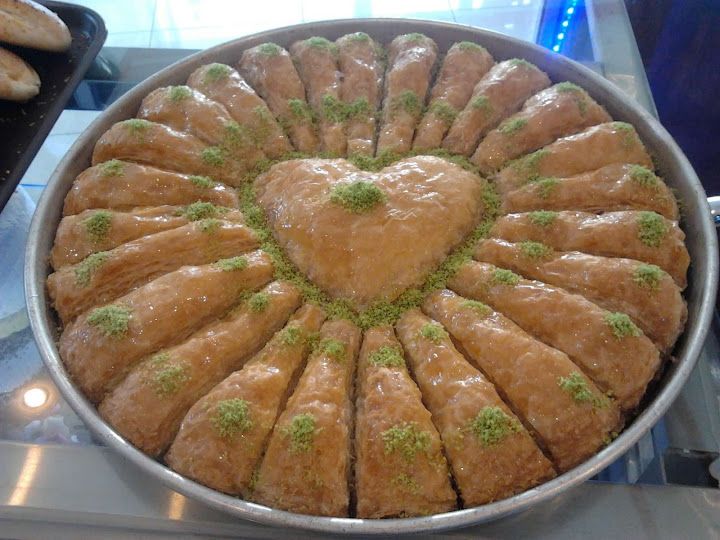 Fotoğraf 15