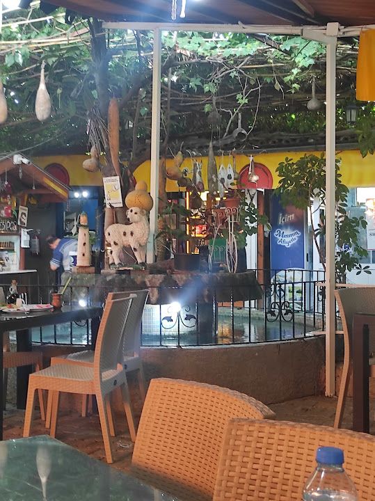 Yorum fotoğrafı 1