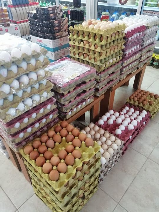 Fotoğraf 12