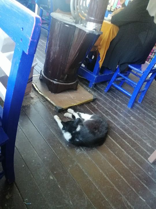 Yorum fotoğrafı 3