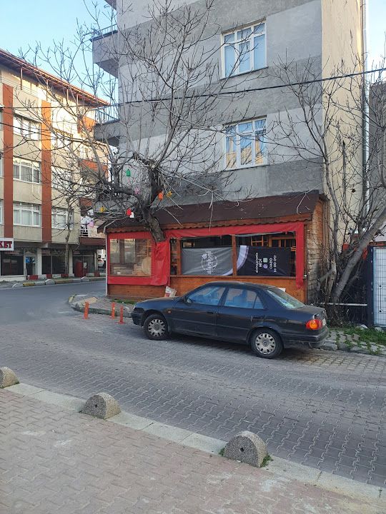 Fotoğraf 9