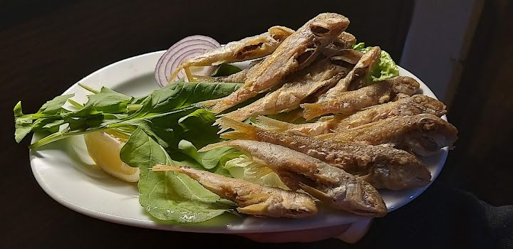 Fotoğraf 48