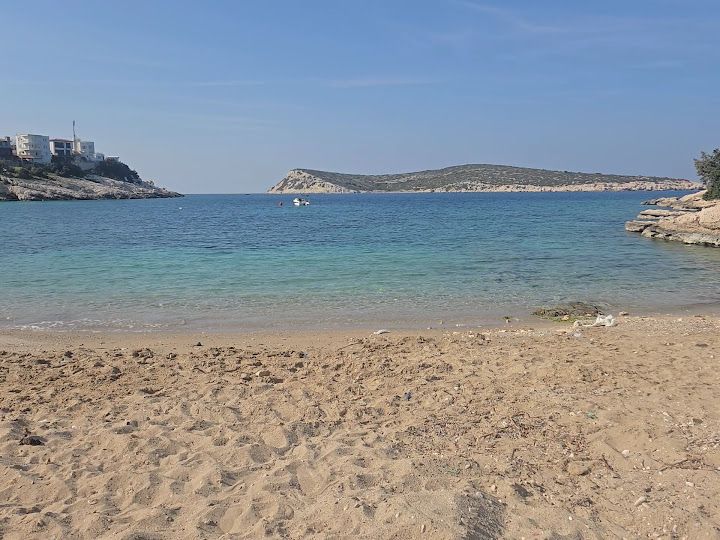 Fotoğraf 12