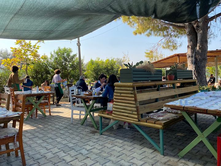 Fotoğraf 24