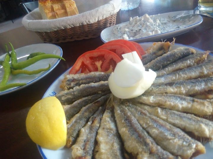 Fotoğraf 15