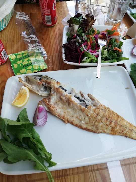 Fotoğraf 15