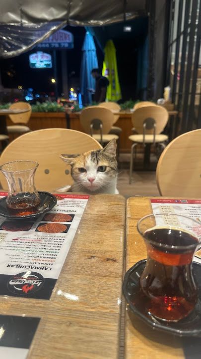 Yorum fotoğrafı 3