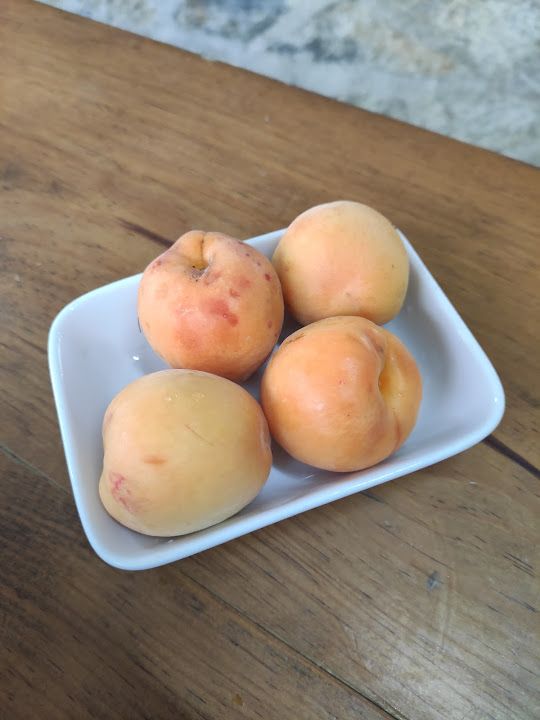 Fotoğraf 27