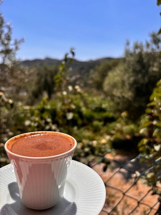 Fotoğraf 28