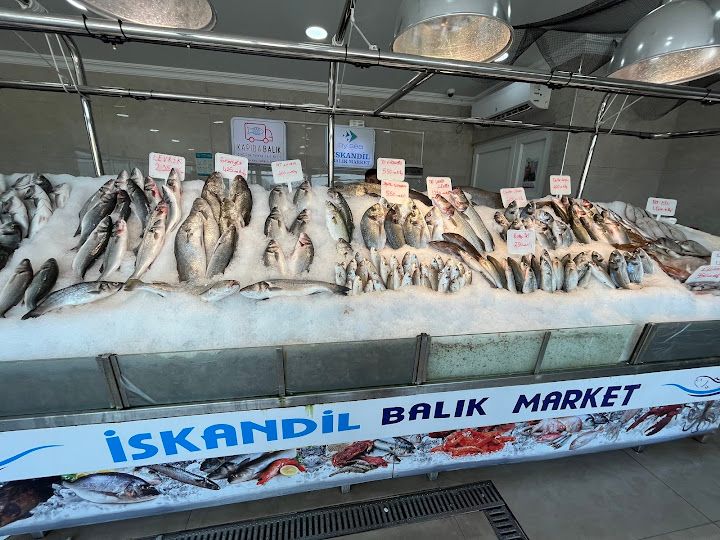Fotoğraf 12