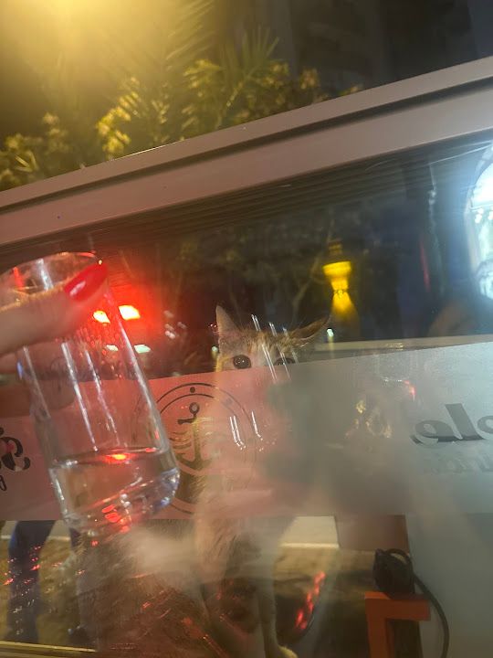 Fotoğraf 28
