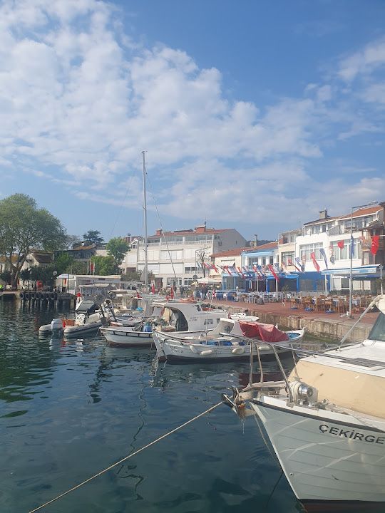 Yorum fotoğrafı 3