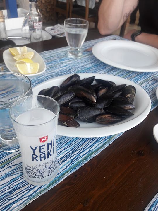 Fotoğraf 16