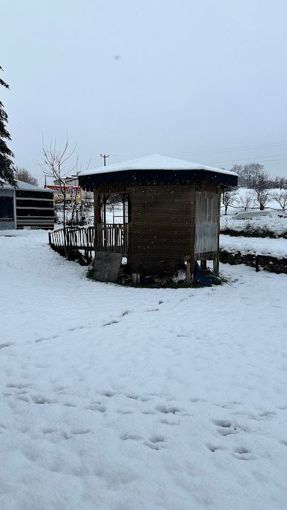 Yorum fotoğrafı 4