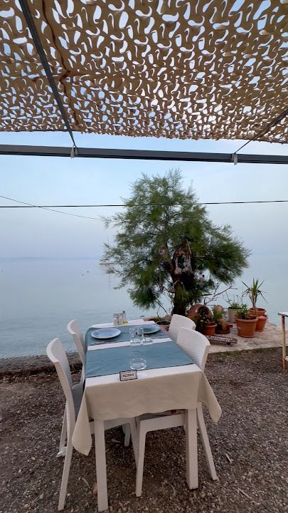 Fotoğraf 33