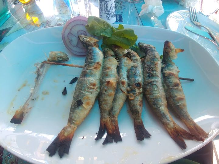 Fotoğraf 41