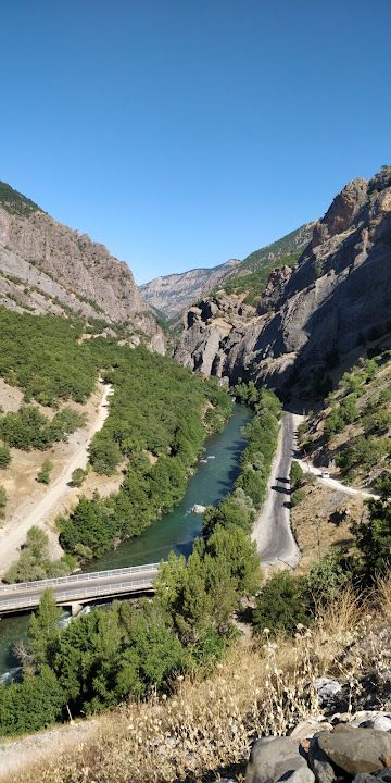 Yorum fotoğrafı 4