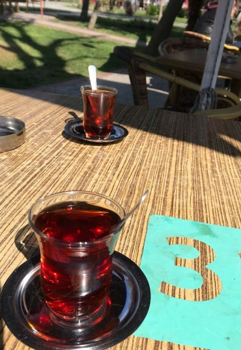 Fotoğraf 16