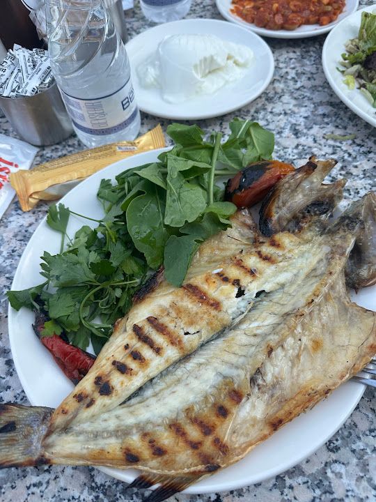 Yorum fotoğrafı 2