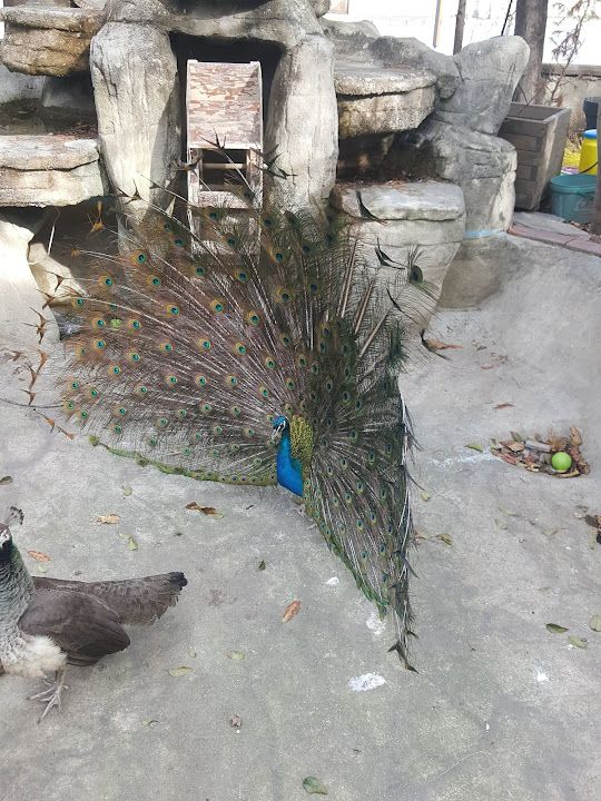 Fotoğraf 27