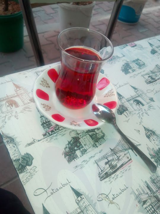 Fotoğraf 14