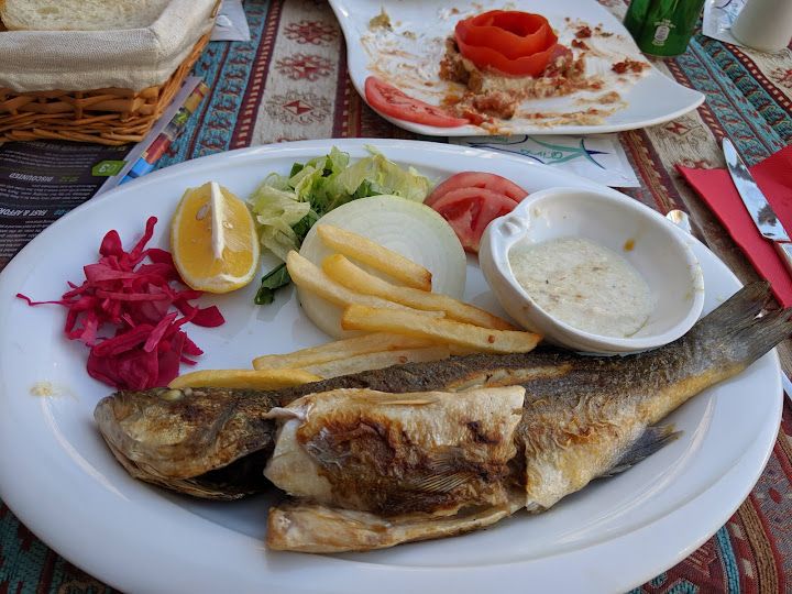 Fotoğraf 14