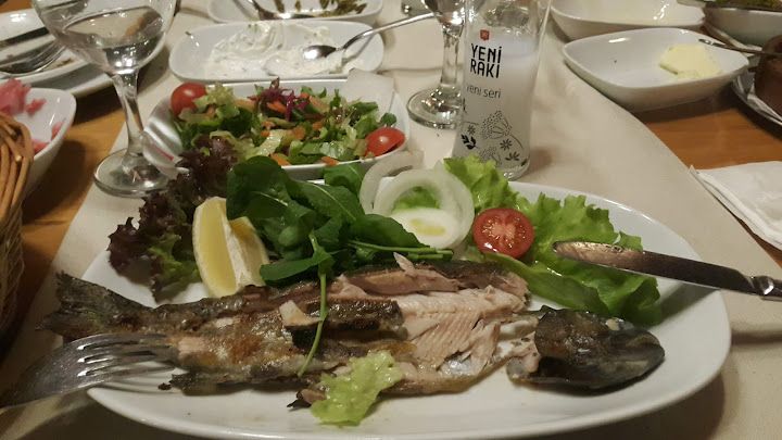 Fotoğraf 14