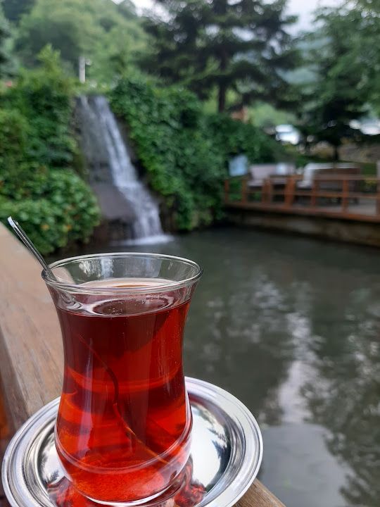 Fotoğraf 19