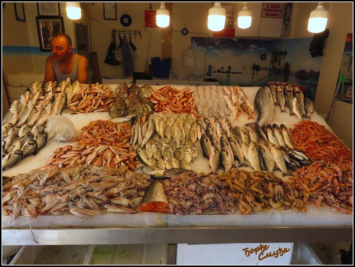 Fotoğraf 55