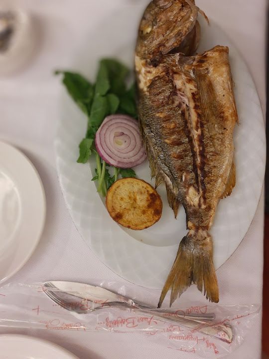 Fotoğraf 33