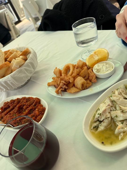 Fotoğraf 49