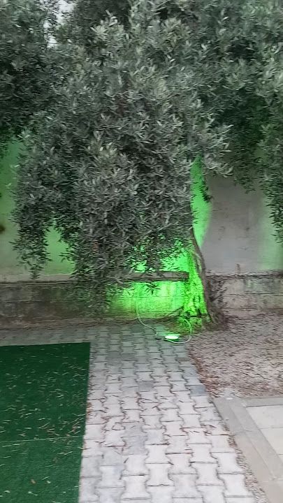 Fotoğraf 14