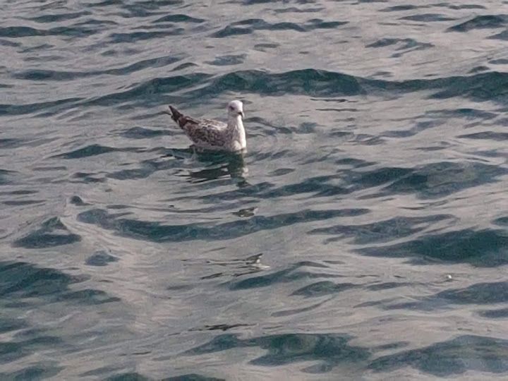 Fotoğraf 19