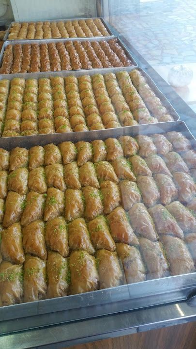 Fotoğraf 15