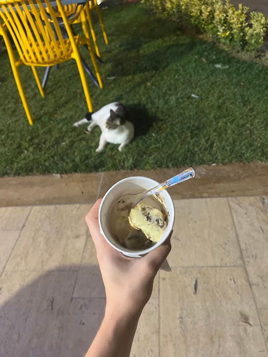 Fotoğraf 13