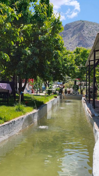 Yorum fotoğrafı 4
